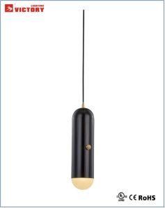 Interior Black Metal Modern Suspension Decorative Pendant Lamp