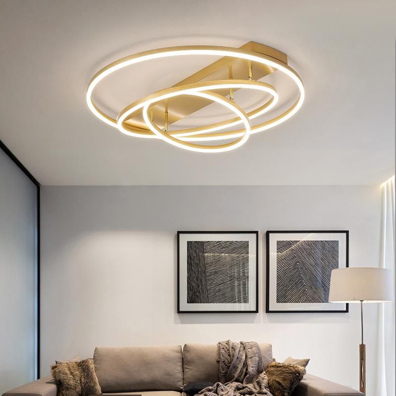 LED Ceiling Lamp Living Room Lamp Golden Nordic Lamp Ins Ring Lamp