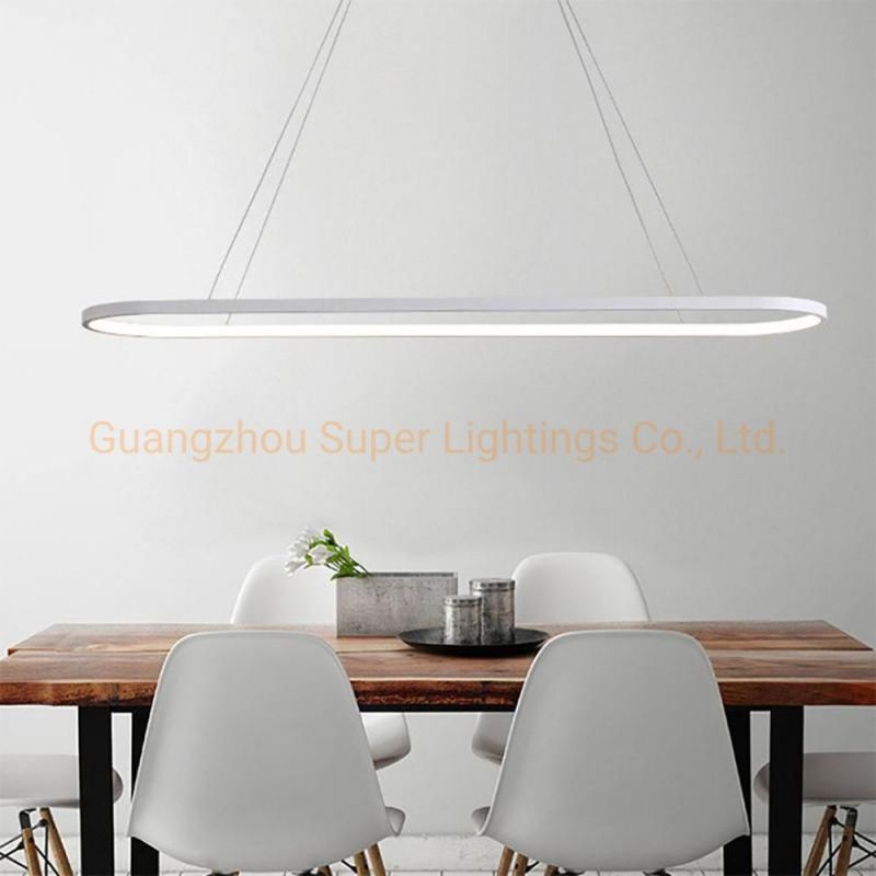 2022 Modern New Style Pendant LED Light for Home