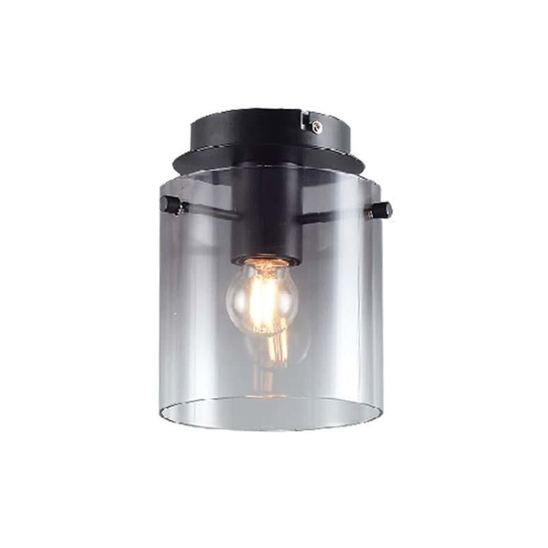 One Lite E27 Smoke Glass Matt Black Ceiling Light