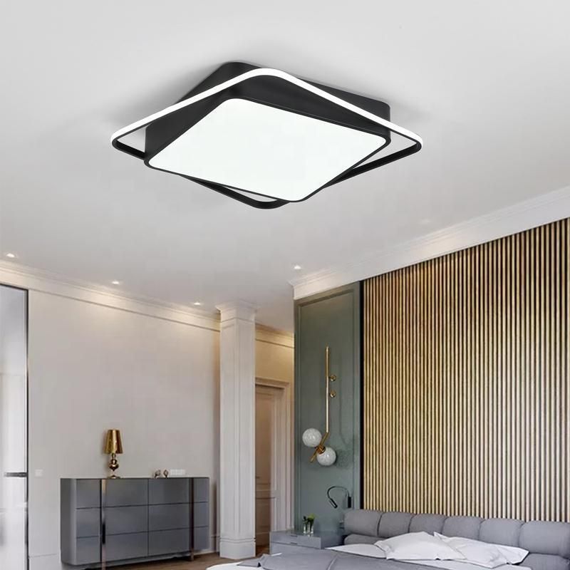 Living Room Ceiling Light LED Ceiling Mounted Dimmable Lamp
