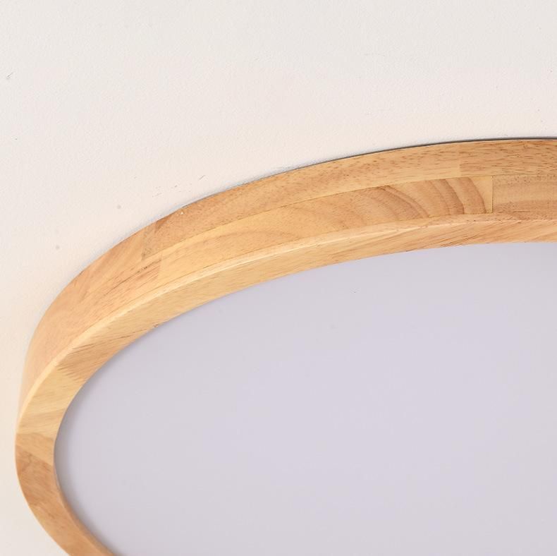New Style Living Room Bedroom Ceiling Modern Lamp
