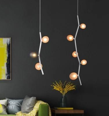 Indoor Lightings Popular Lamp Modern Hanging Hand Blown Glass Clear Color Pendant Lights for Home Decoration