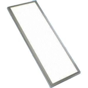 LED Panel Light (YG-300*1200)