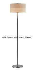 Modern Floor Lamp (HBF-8039)