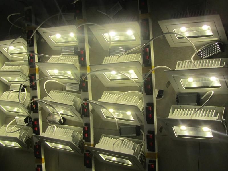 20W COB Rectangular Flexible LED Shop Light
