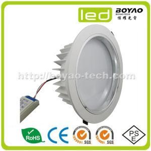 36W LED Down Light (BY-TD-36W)