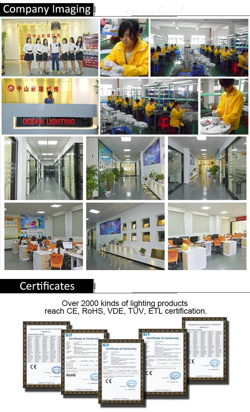2020 Year China Manufacturer Supply New Design Ceiling Lighting