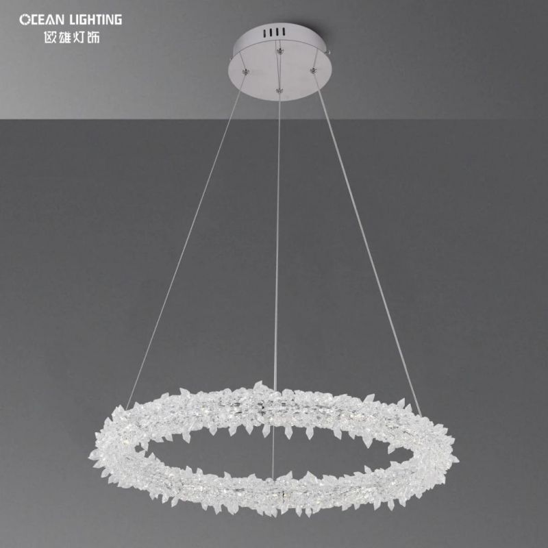 Pendant Lamp Chandelier Luxery Pendant Metal Lamp Omd8138/60 Dia60cm