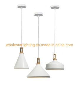 Metal Pendant Lamp (WHP-055)