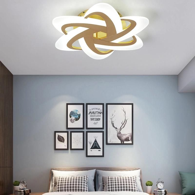 LED Ceiling Light Simple Modern Home Lamp Creative New Bedroom Lighting