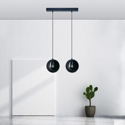 Simple Modern Iron Lighting LED Lamp Indoor Chandelier Two Heads Black Retro Pendant Light