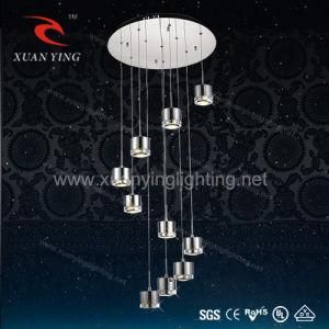 Special Style LED Hanging Lamp (Mv20137-10)
