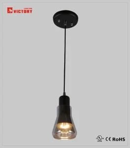 Modern Simple Smoky and Glass Pendant Light H-201521-1