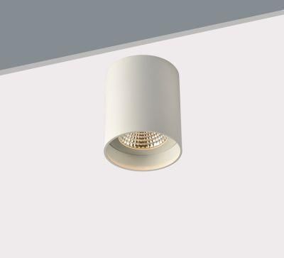 C6025 Aluminum LED Ceiling Light COB Down Spot Lighting