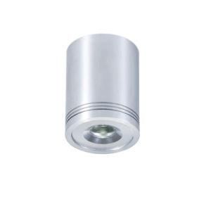 LED Downlighting (LDC011)