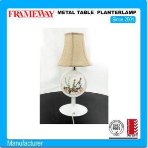 Custom Manufacturing Home Deco Metal Table Planter Lamp with Arylic Water Tank Powder Coated