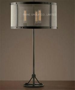 Interior Decorative Table/Desk Lamp with Metal for Bedside or Study