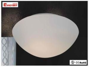 Indoor Opal Glass LED Surface Mount Ceiling Light