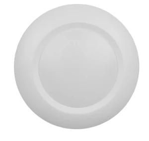 LED Disk Light
