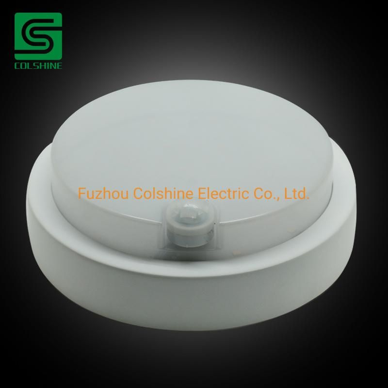 IP54 Oval Round LED Bulkhead Light Fitting Outdoor Wall Light