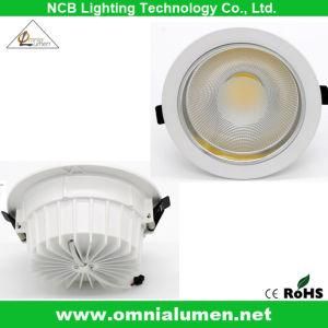 Elegant Designer LED Ceiling Light (OLPAROECO14015WW)