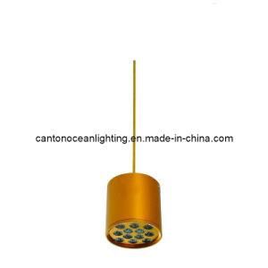LED Pendant Lamp (SL-2310)