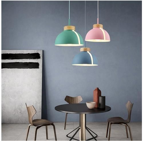 Europe Decorative LED Pendant Light Modern Pendant Lighting Hanging Pendant Lights