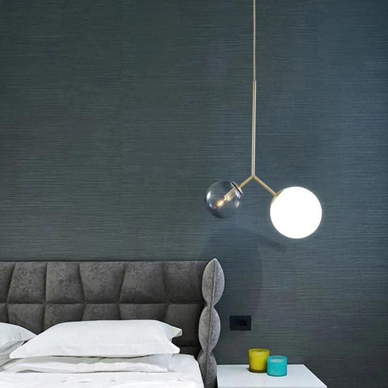 Modern Iron Pendant Lamps Decorative Restaurant Abelone Asymmetry Dual Globe Glass Pendant Light (WH-AP-299)
