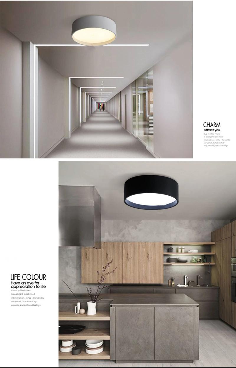 Modern Simple Decorative LED Ceiling Light