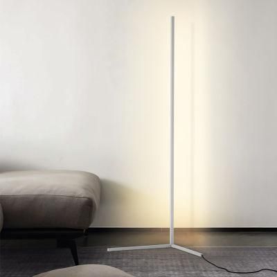 Living Room Wall Corner Floor Lamp Bedroom Creative Light Linear Strip
