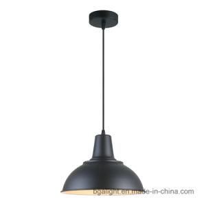 Simple Design Metal Painting Pendant Light for Dinner