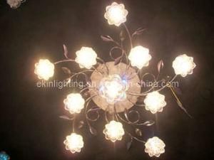 Ceiling Lighting (51092)