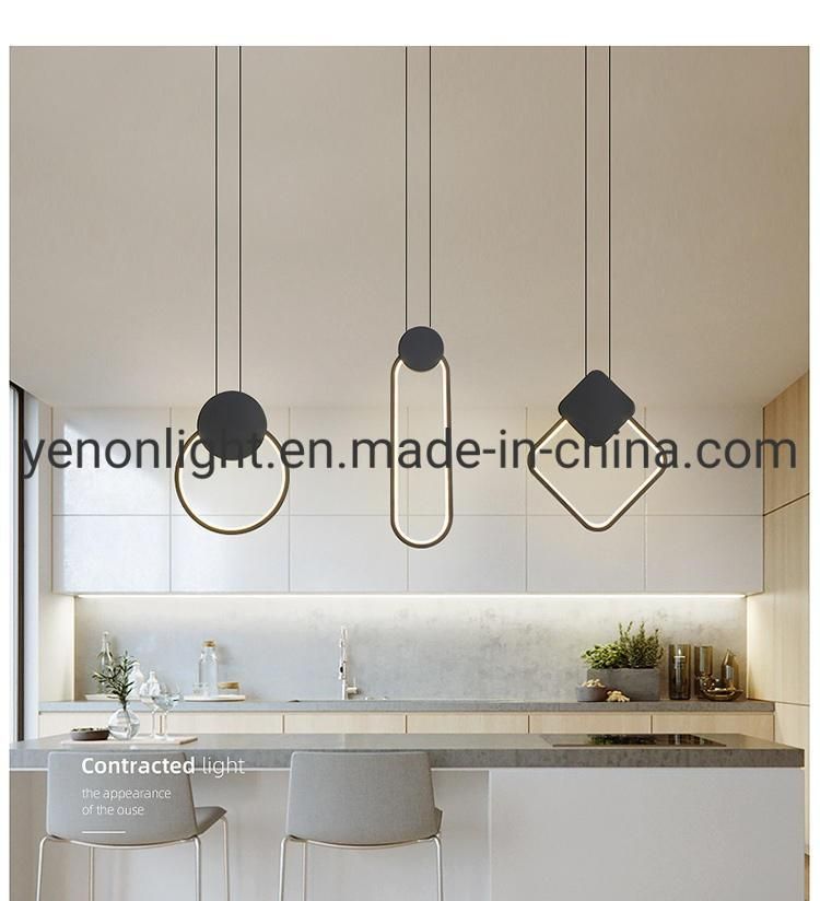 Home Decoration Iron Pendent Lamp Drop Lighting Suspension Light