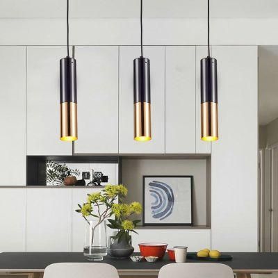 Modern Indoor Decoration Hanging Lighting Modern Pendant Lamp