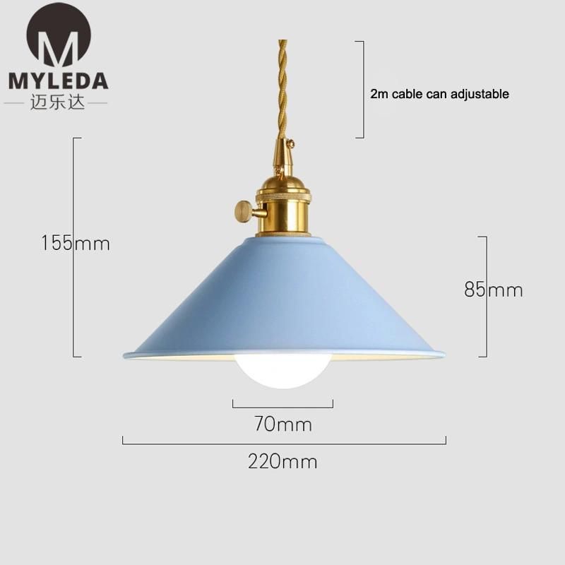Colorful Metal Hanging Lighting Pendant Lamp for Hotel Restaurant, Dining Room, Club