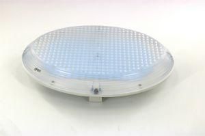 30W/40W/50W Elliptical Ceiling Light, IP65/Ik09, Die-Casting Aluminum, Outdoor Lighting
