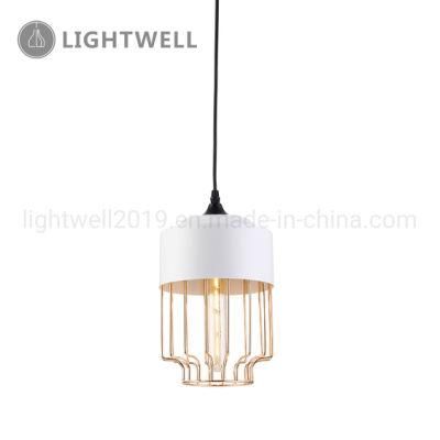 Decorative Indoor Ceiling Hanging light Matt Black Matt White and Copper Painting iron pendant lamp