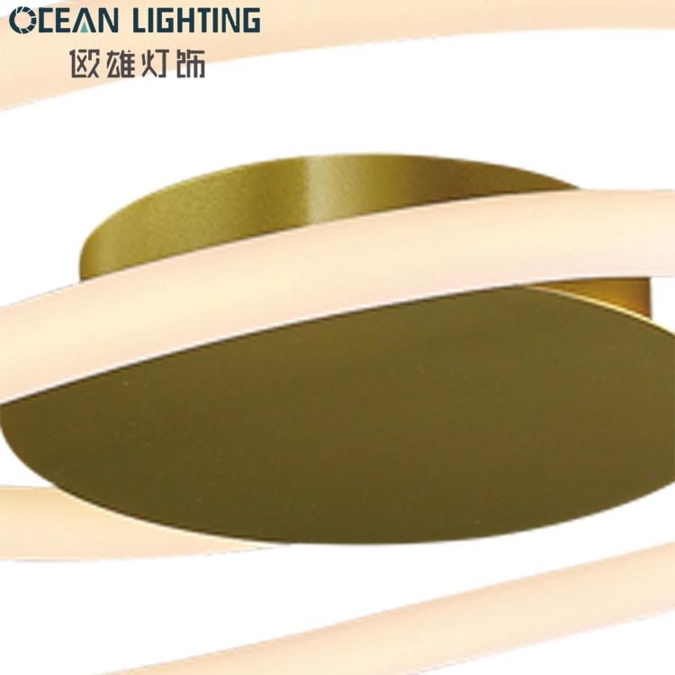 Ceiling Lighting Lamp Ceiling Light Fixture Modern Ceiling Lamp