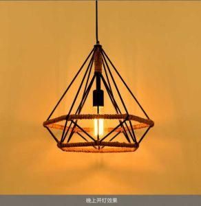 2016 New Lamp Pendant /Light