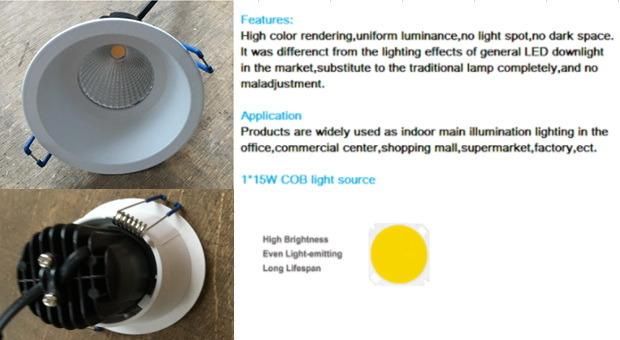 12W Recessed LED Downlight Embedded COB Dow Light