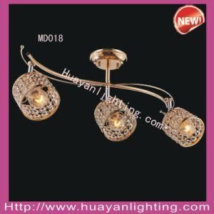 Modern Ceiling Lamp (MD018)