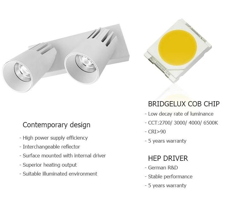 High Quality Room LED Spotlight Screwless Surface Mounted 10W LED Ceiling Lighting Downlight