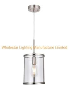 Modern Glass Pendant Lamp (WHP-480)