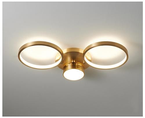 Home Lighting with 110V 220V Aluminum LED Ceiling Lamp for Bed Room Decoration