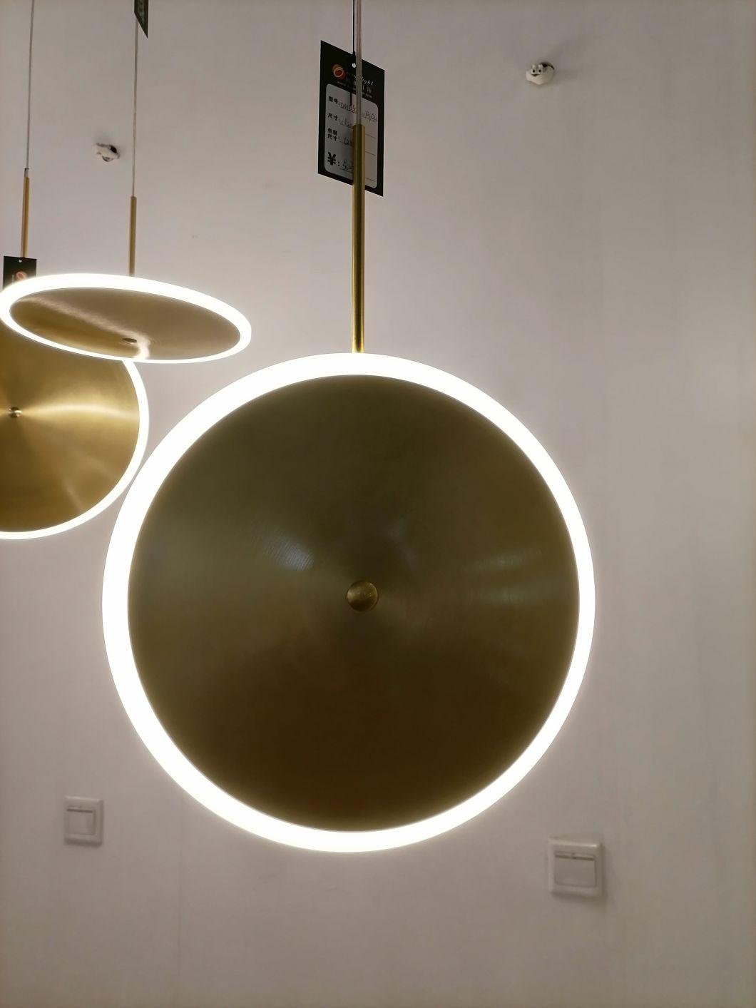 2021 Hotsale LED Modern Simple Pendant Lighting Omd8180073/20