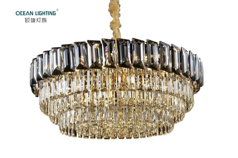 Modern Simple PVC Iron Tube Curved 40W LED Chandelier Lamp
