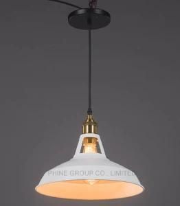 Modern Bar Decorative Lampshade Pendant Lamp for Indoor Use