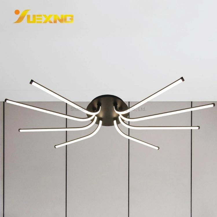 Indoor Decoration Fancy Dimmable APP Bluetooth Smart Modern LED Strip SMD Ceiling Lamp Light