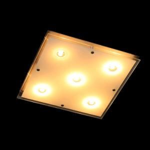 Ceiling Light / Ceiling Lamp (PT-G9 201/5)
